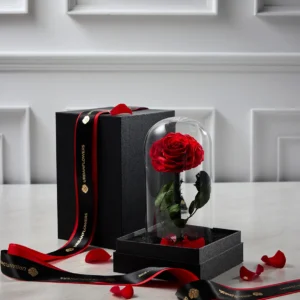 Preserved Red Rose in a Glass Dome